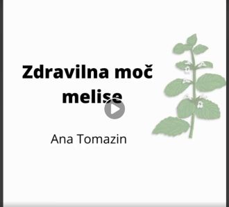 Zdravilna moč melise